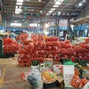 인왕축산 이미지