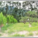 택수목장 이미지