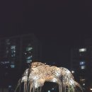 당현3교 | 2023 노원 달빛 산책 후기 #1 (당현2교~당현3교)