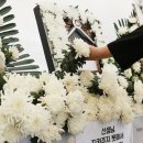 제주중학교 이미지