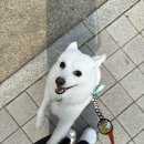 토리멍 이미지