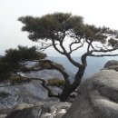 생활의상(초급) 이미지