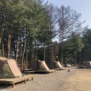 함평나비마을서울캠핑장 이미지