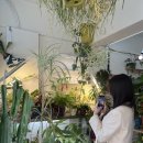 공존의 행복 | 부산 전포 카페 커피와 식물이 공존하는 공간 턴어라운드 버터떡, 피스타치오 크림라떼 후기