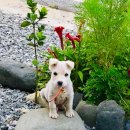 민박이야기 이미지