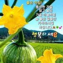 월아