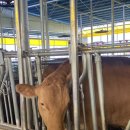 (주)매그닛 이미지