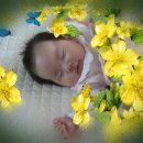 사진과포토샵 이미지