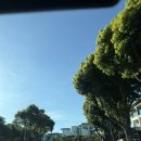 세기카정비 | 제주 애월 숙소 추천 MG새마을금고 제주연수원 내돈내산 숙박 후기