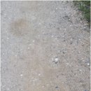 중등수학지도사2급 이미지