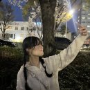 육회바른연어 광주태전점 | 2024. 04. 01. ~ 04. 30.