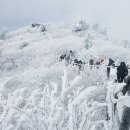 내일날씨 이미지