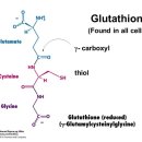 일산365온의원 이미지