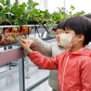 마포농장 이미지