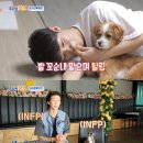 상전 스포츠경향