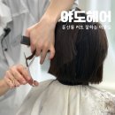 문스타일짐 | 대전 둔산동 야도헤어 단발컷 후기, 혜성 디자이너에게 맡긴 스타일 변신