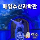 돌산로 | 여수해양수산과학관 근처 맛집 아기랑 여행 코스 후기