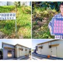 부여대봉곶감 이미지