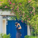 수원시 팔달구 창룡대로104번길 이미지