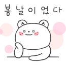 조이펫살롱 이미지