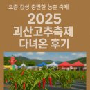 요즘 감성 충만한 농촌 축제, 2025 괴산고추축제 다녀온 후기
