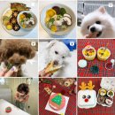 오띠모도떼 이미지