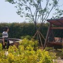 골약초등학교 이미지