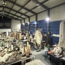 우석헌자연사박물관 이미지