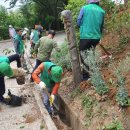 상대동13 이미지