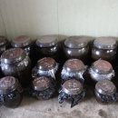 조아농장 이미지