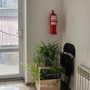 럭키PC바다 | 07 알마티에서 비슈케크 이동! gobus 대신 얀덱스 city to city 택시 카풀한 후기