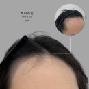 헤어베러데이 이미지