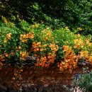 구소석길 이미지