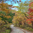 노고단-8 이미지