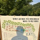 원해유통 | 청계산 골든밸리 캠핑장 | 서울근교 캠핑장 추천, 시설, 아웃코스 루키에어돔