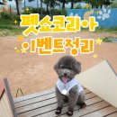 하에 | 2026 펫쇼코리아(하) 현장 참여 이벤트 & 후기 이벤트 가이드
