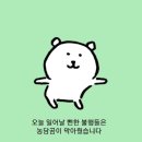 다자이 오사무햄 힘내시길..