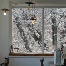 일루소 | 장유벚꽃카페추천 장유도예카페 카페일루소 포토존후기