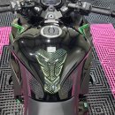 디테일링 몬스터 이미지