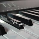 재미있는 상상 이미지