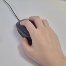 꼬꼬미