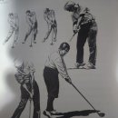 마이골프(MY GOLF) 이미지