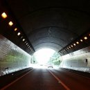 완도23호 이미지