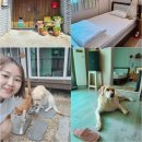 아미가모텔 | 목포숙박 오래뜰 게스트하우스 1인실 4박5일, 풍성했던 목포여행