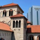 세실약국
