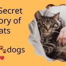 고양이는 언제 어떻게 어디에서 인간에게 다가오기로 마음먹었을까? 이미지