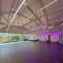 팔로니아 복싱 이미지