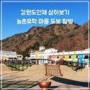 용대2리 | 농촌유학마을 용대2리에서 용대초등학교까지 걷기