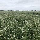 성읍리-28 이미지