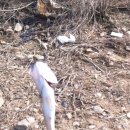 모차모텔 이미지